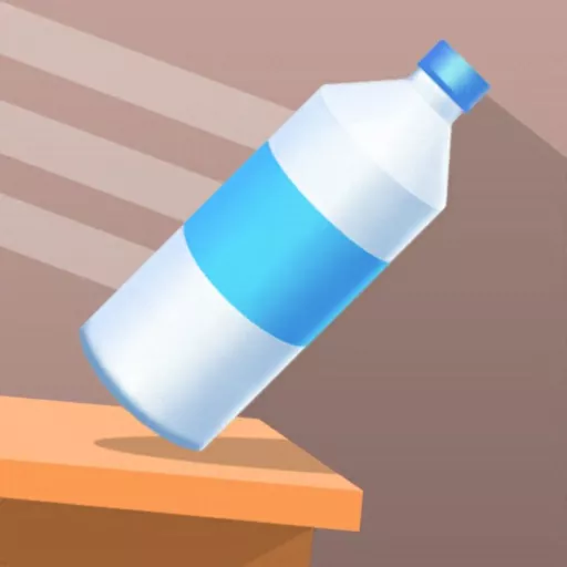 Bottle Flip 3d